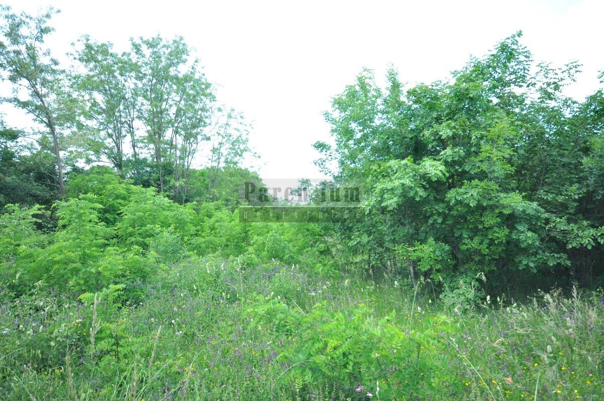 Scopo commerciale - terreno tra Rovigno e Canfanaro