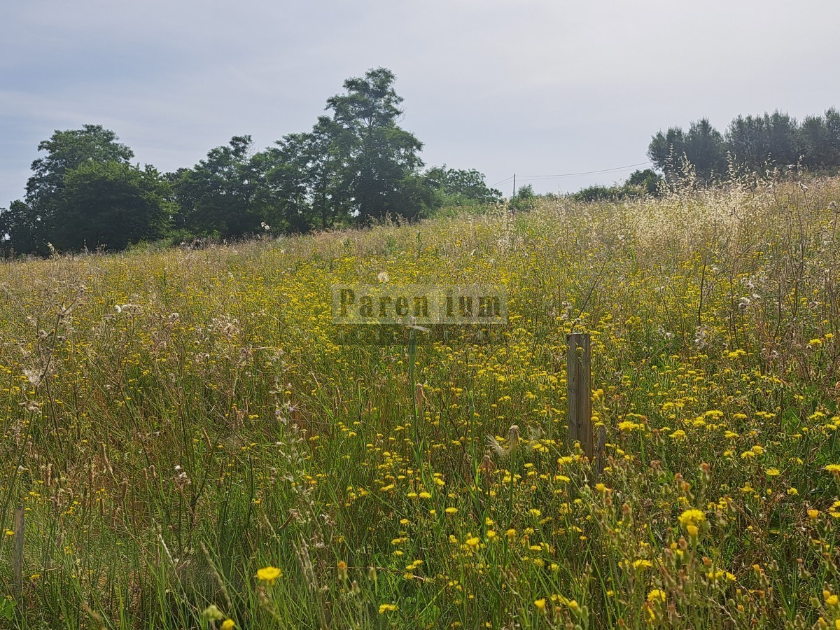 Terreno edificabile in campagna