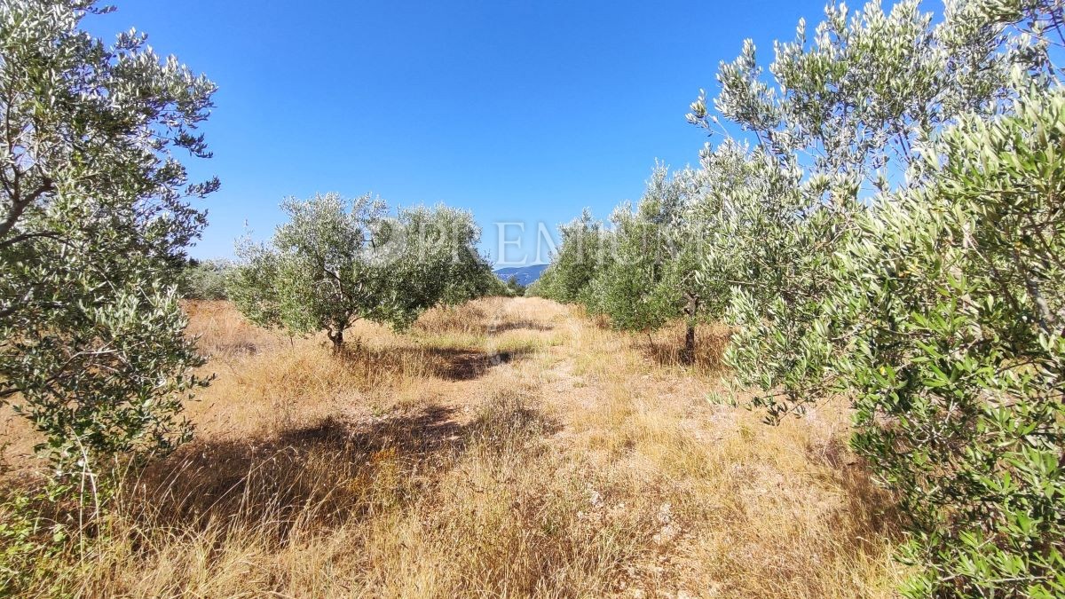 Krk, dintorni, terreno agricolo con vista mare!