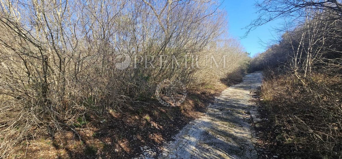 Krk, dintorni, terreno agricolo vicino al mare!