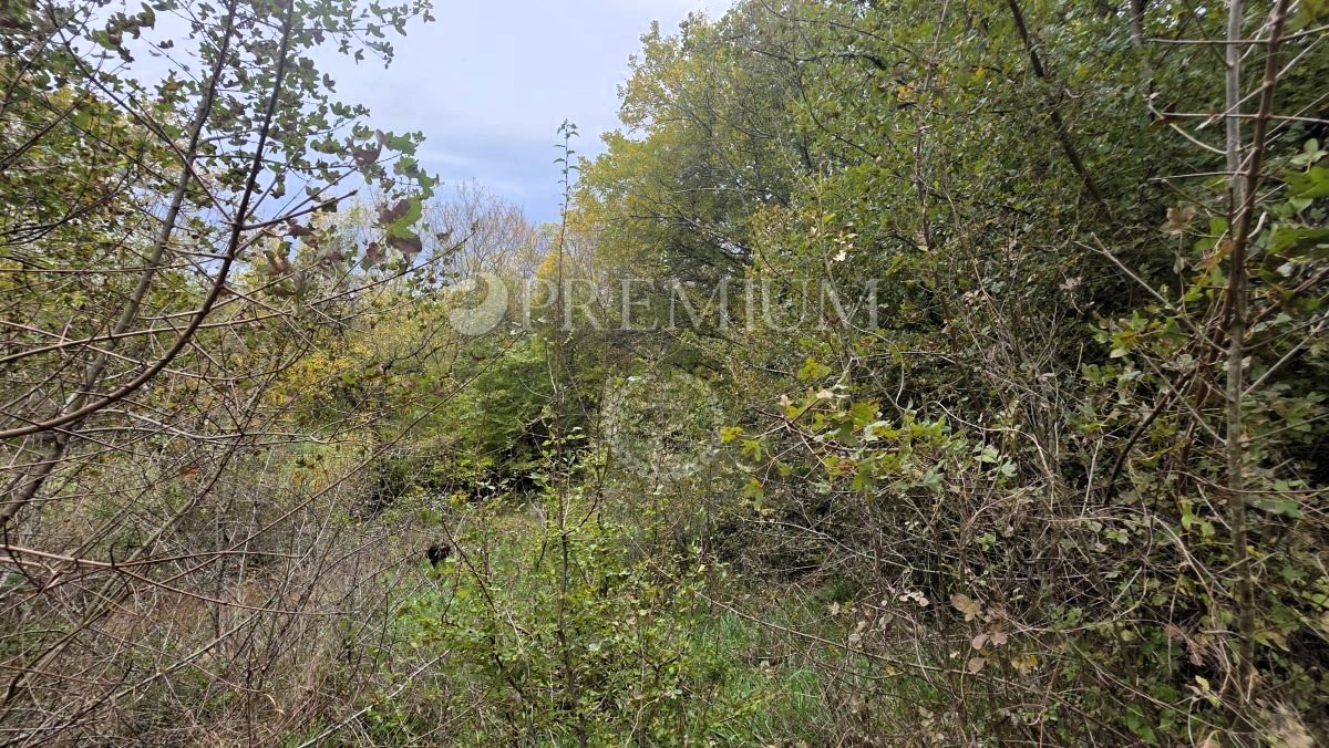 Baia di Soline, terreno agricolo 3.640 m²!