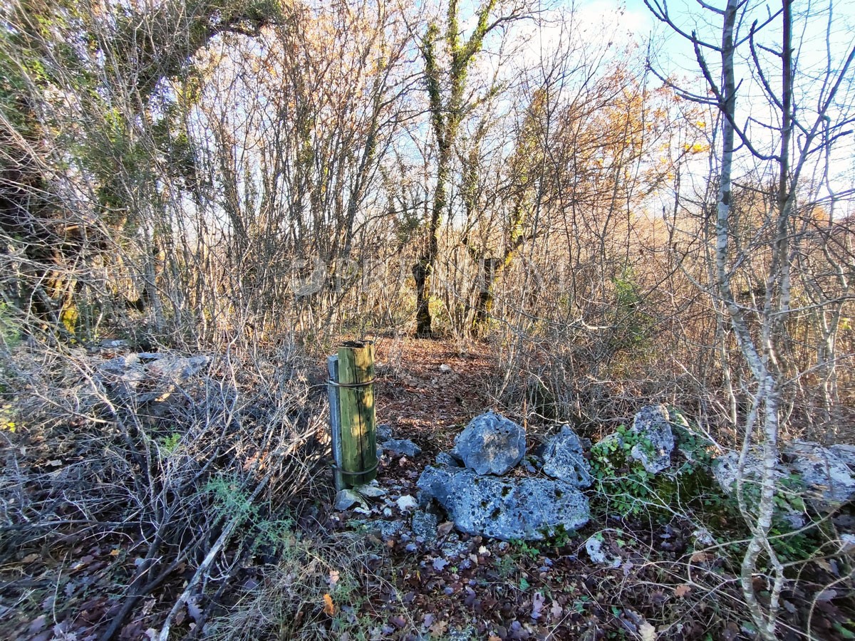 Dobrinj, terreno agricolo lungo la strada!