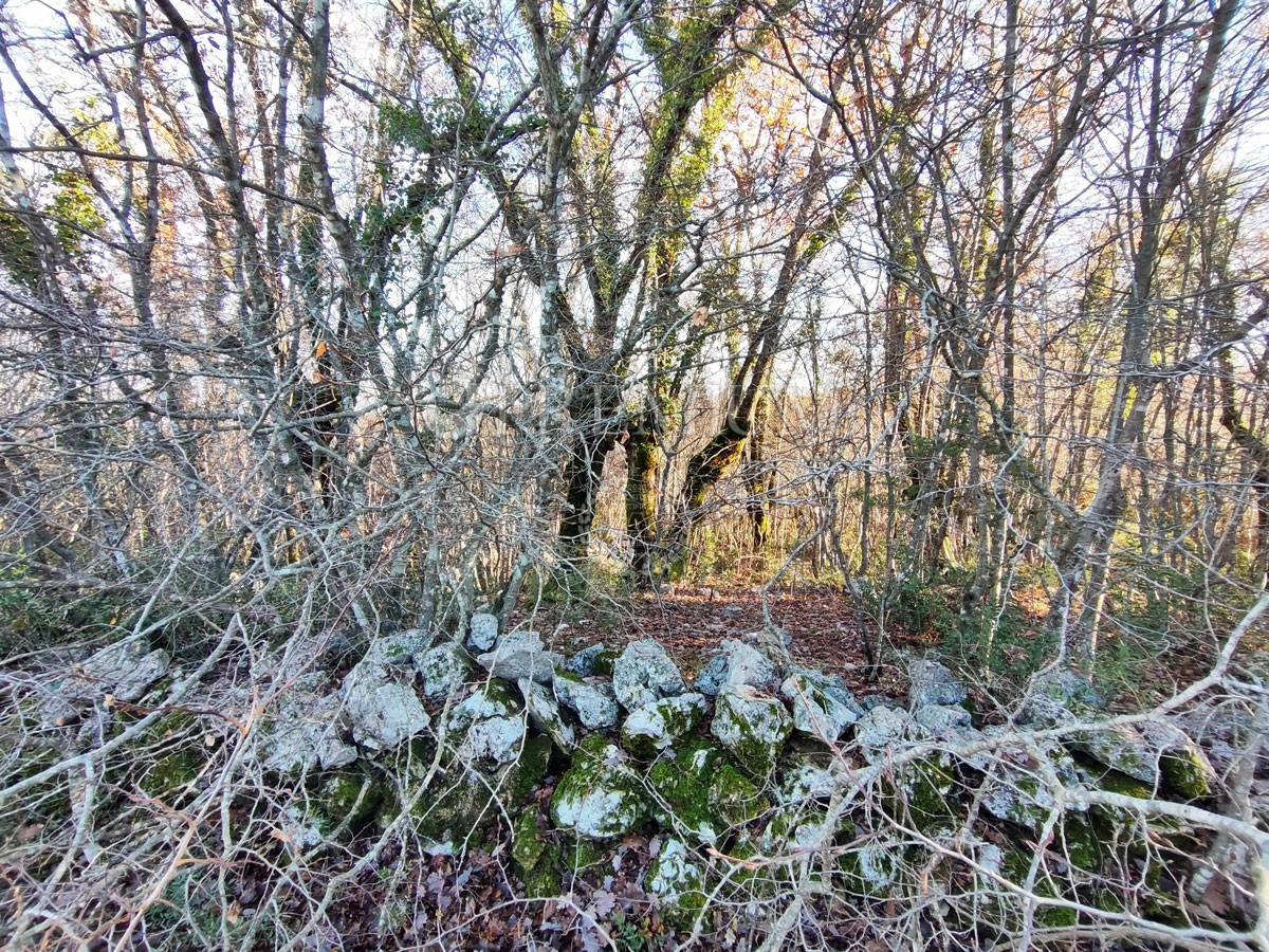 Dobrinj, terreno agricolo lungo la strada!