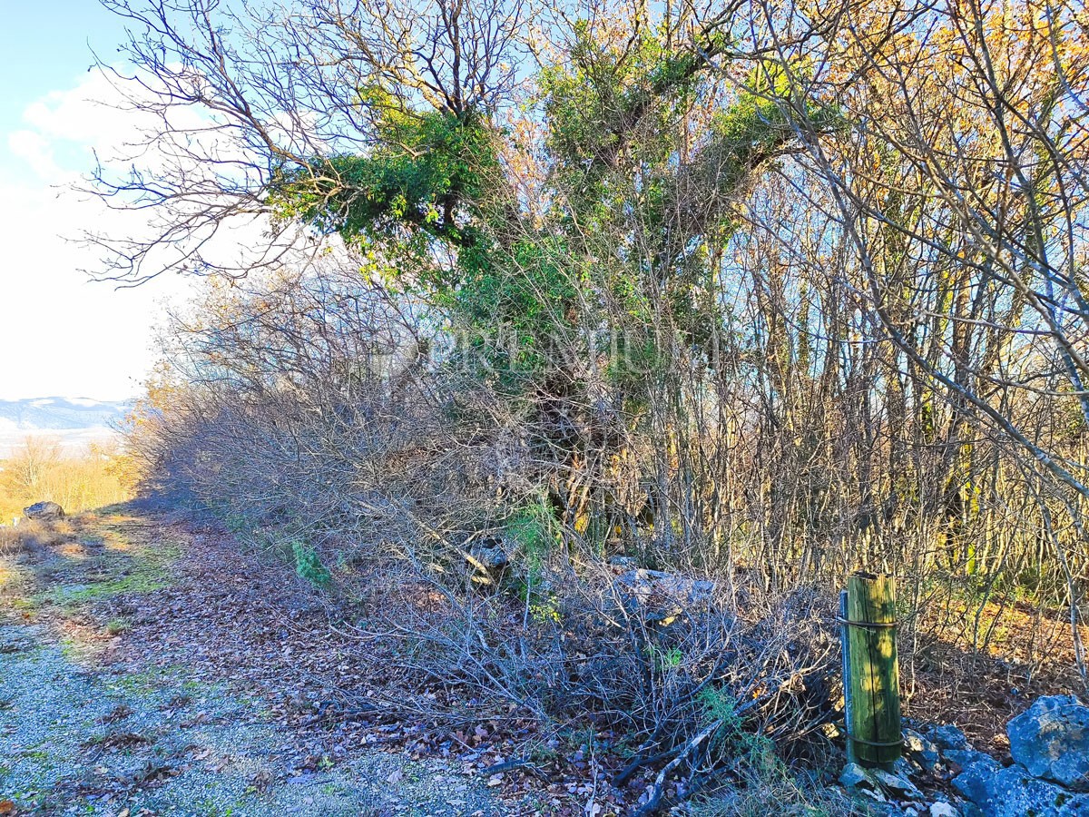 Dobrinj, terreno agricolo lungo la strada!