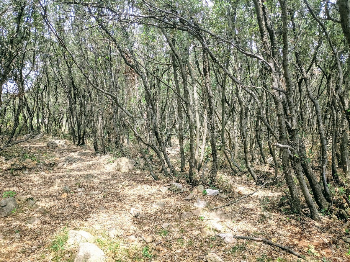 Krk dintorni, vendita del tereno in una posizione attraente con l'accesso alla spiaggia naturale!