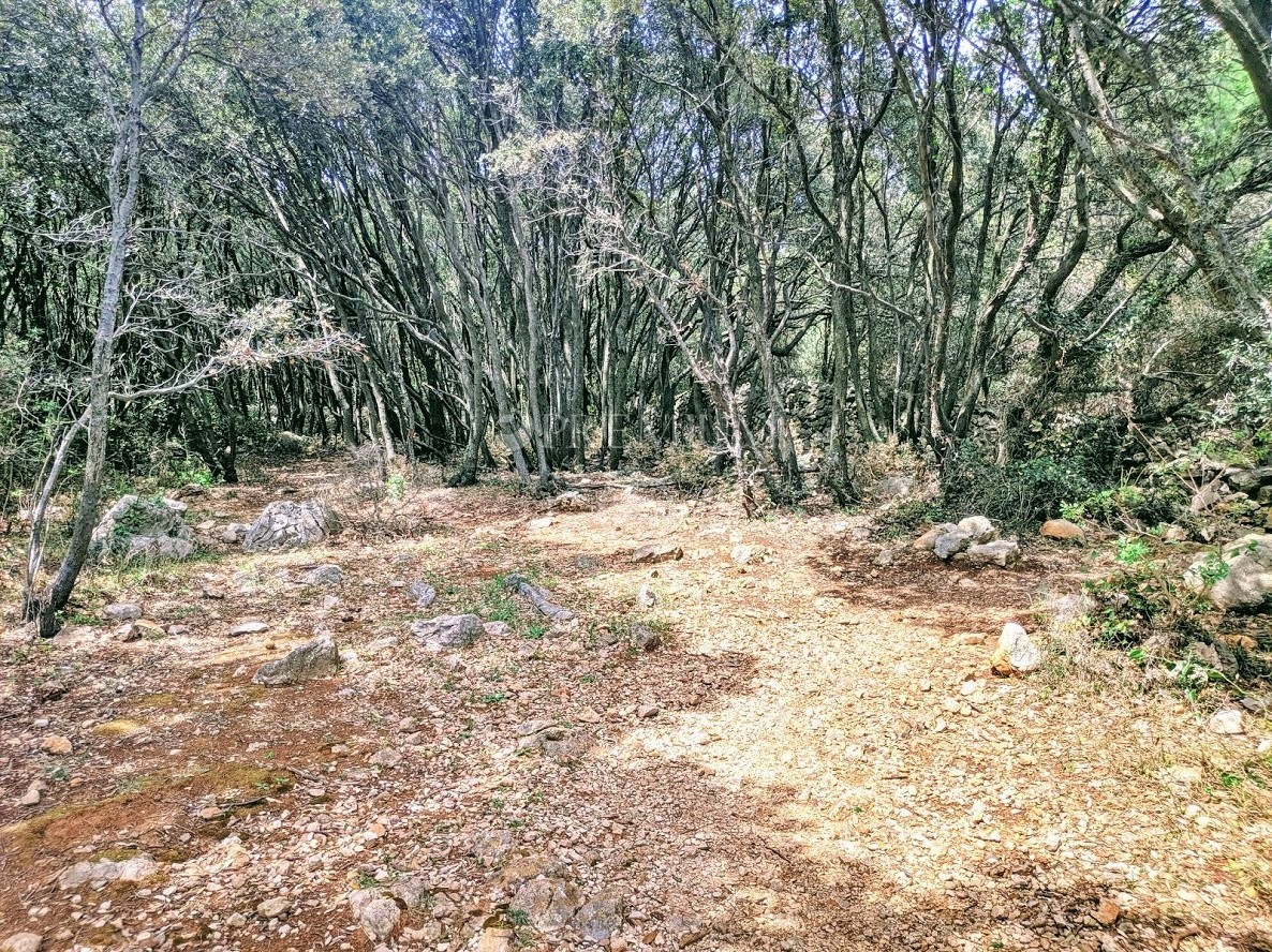 Krk dintorni, vendita del tereno in una posizione attraente con l'accesso alla spiaggia naturale!