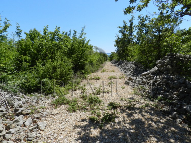 Dintorni di Krk, vendita, terreno agricolo!