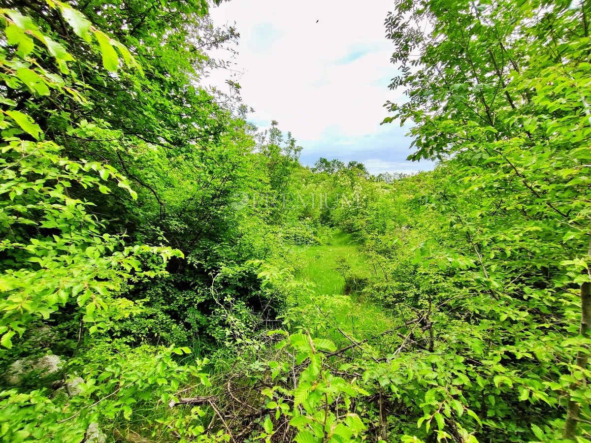 Dintorni di Vrbnik, terreno agricolo pianeggiante in vendita vicino alla strada!