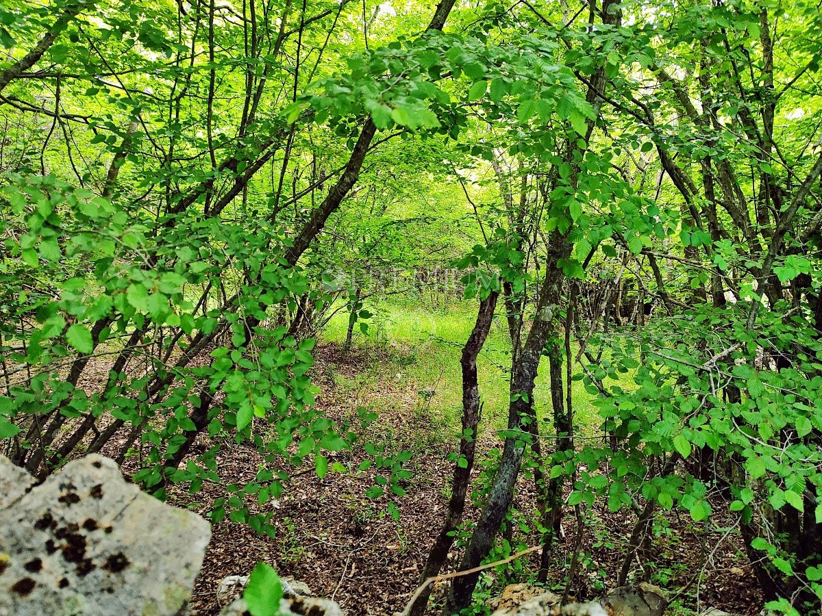 Dintorni di Vrbnik, terreno agricolo pianeggiante in vendita vicino alla strada!