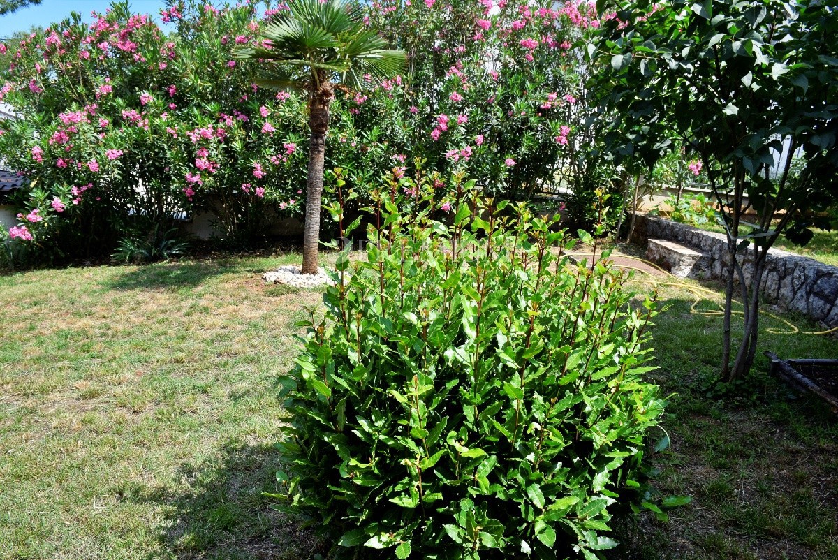 Njivice, casa con vista sul mare e ampio giardino!