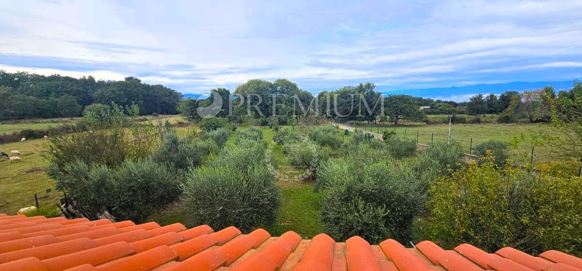 Malinska, casa colonica con uliveto e vista sul mare!