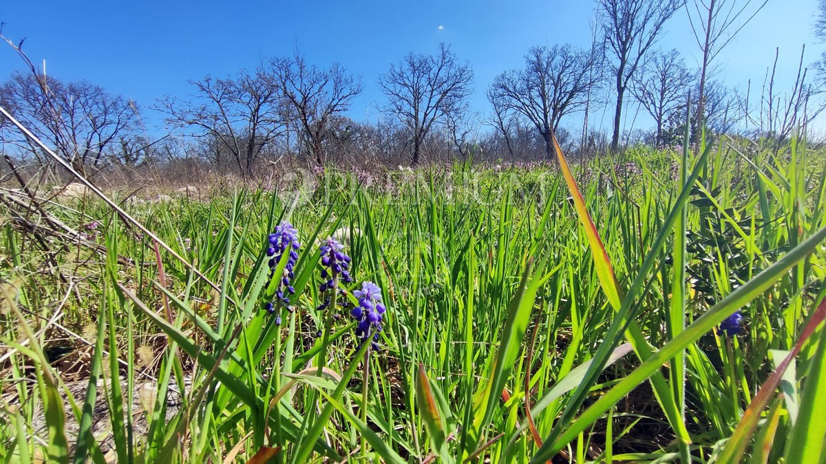 Njivice, vendita di terreno edificabile di forma regolare, a 500 metri dal mare!