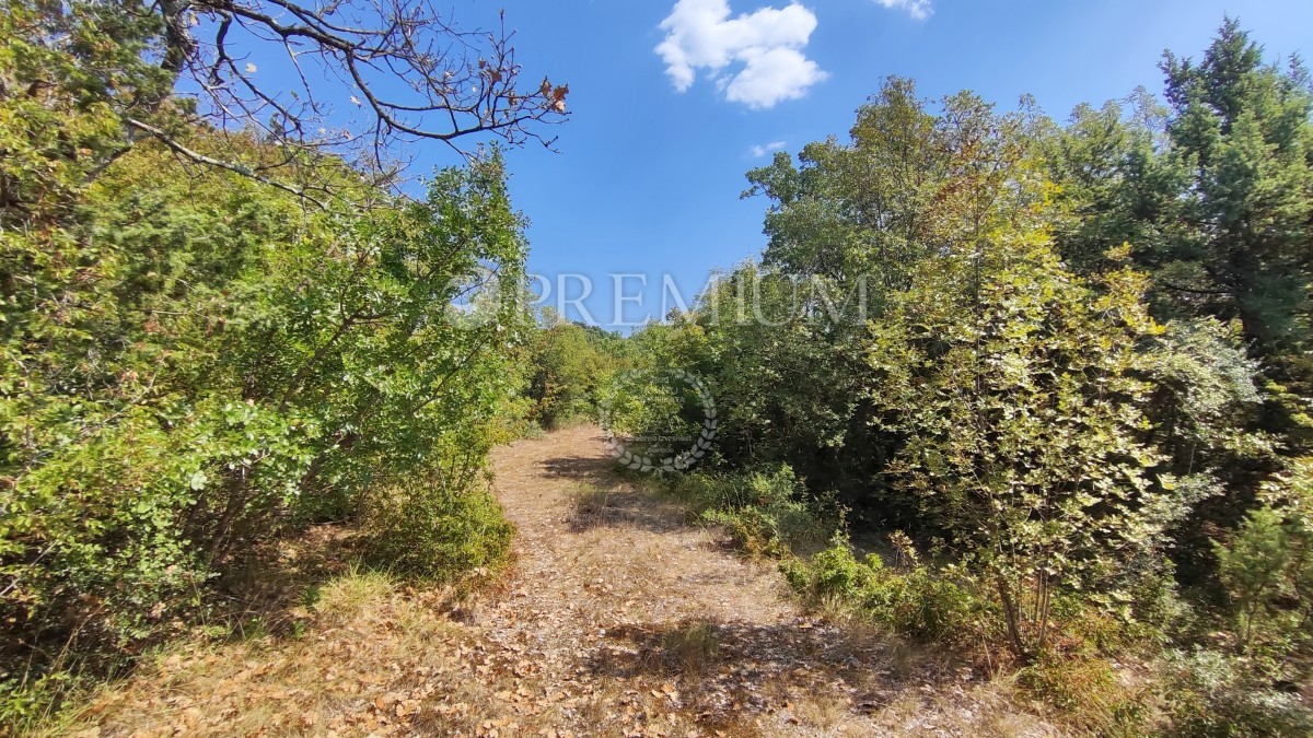 Pinezići, terreno agricolo a 150 m dal mare!