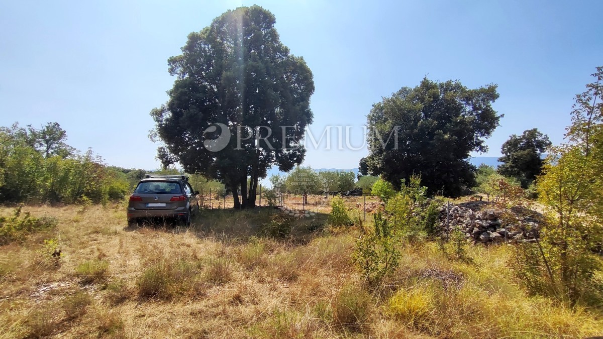 Pinezići, terreno agricolo a 150 m dal mare!