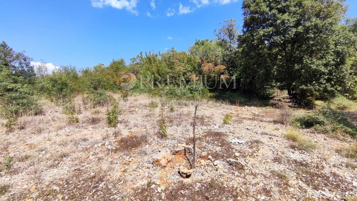 Pinezići, terreno agricolo a 150 m dal mare!