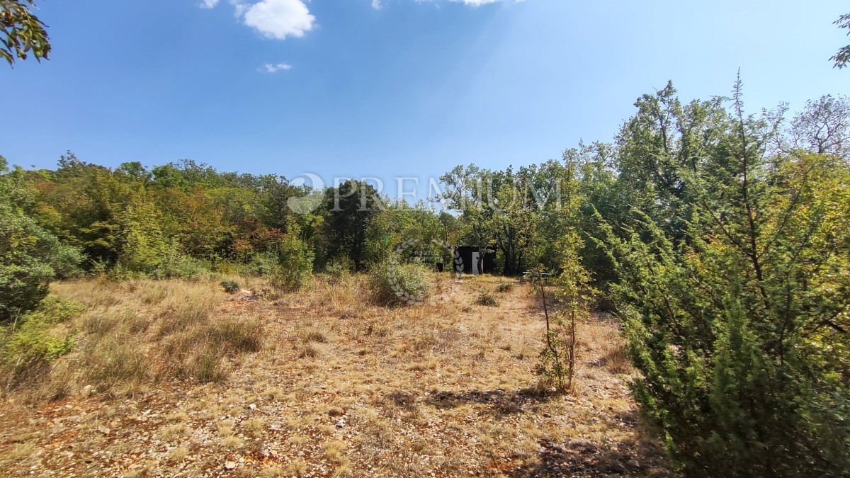 Pinezići, terreno agricolo a 150 m dal mare!