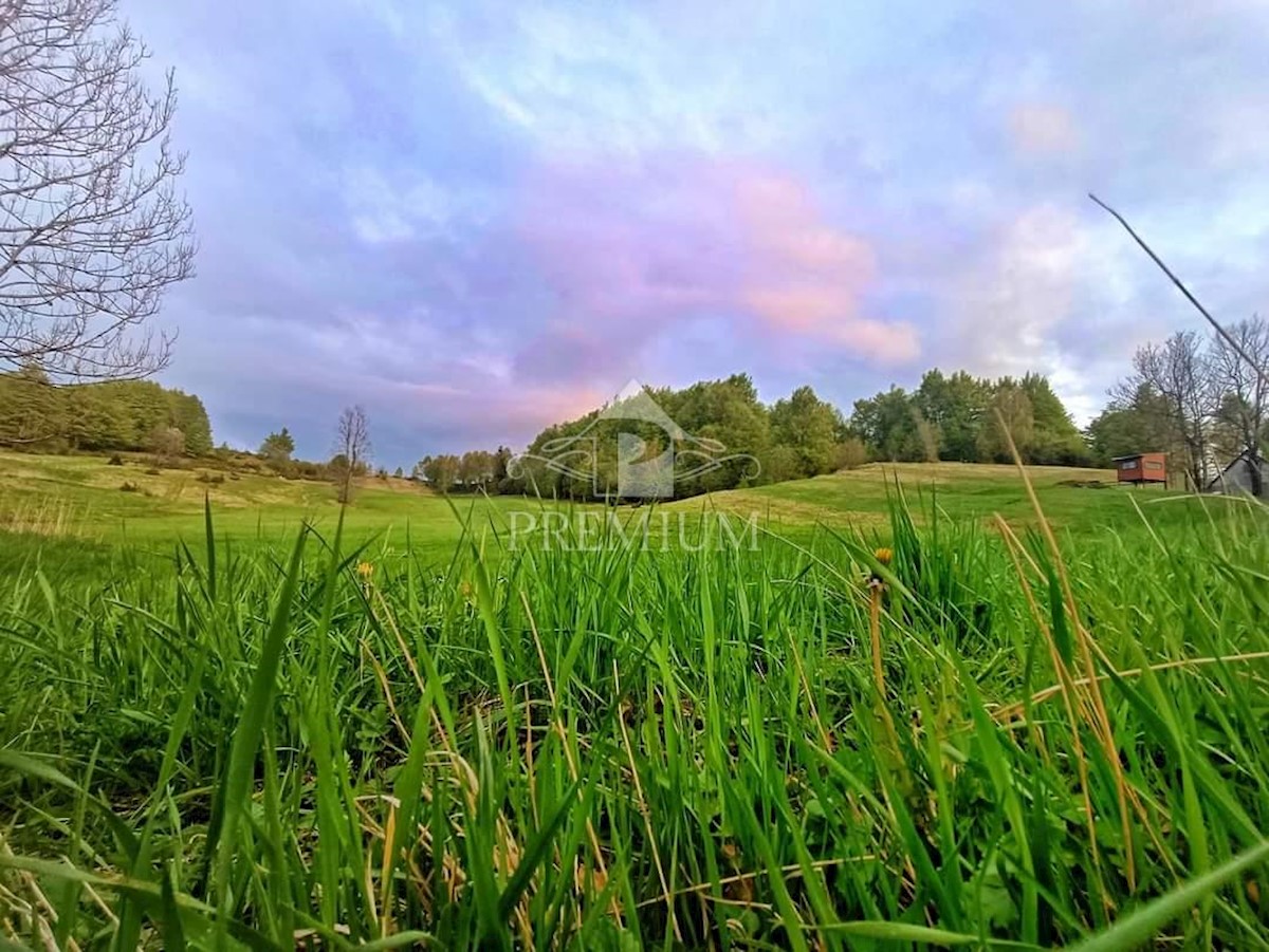 UN INGRESSO CON UN AMPIO GIARDINO NELL'OASI DI GORSKI KOTAR