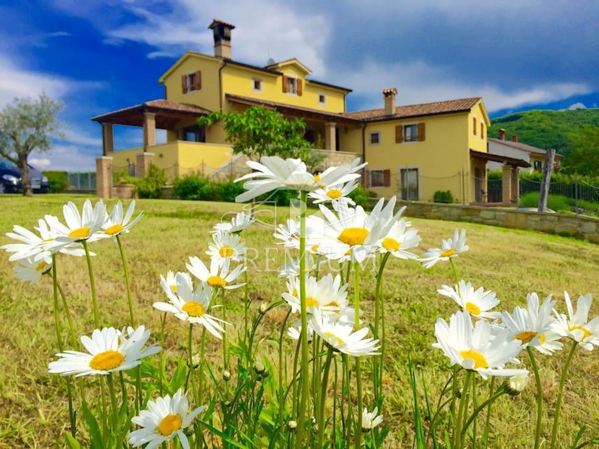 ANTICHITÀ ISTRIANA INDIGENA RISTRUTTURATA NEL CUORE DELL'ISTRIA, CON PISCINA