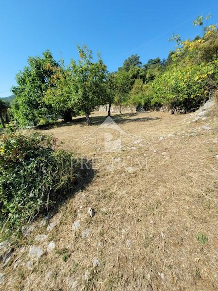 DOPPIA CASA D'EPOCA CON AMPIO GIARDINO