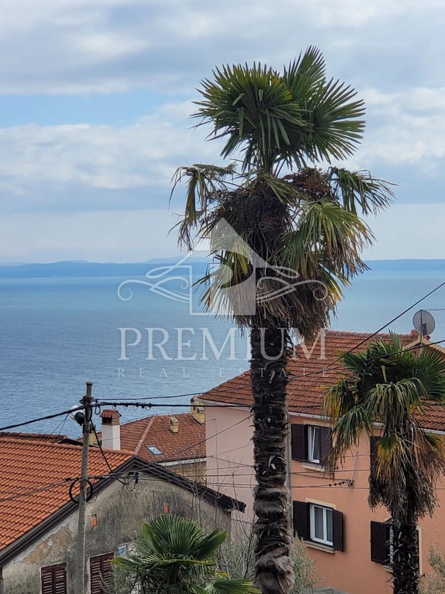 CASA E ANTICHITÀ IN PIETRA NON LONTANO DA OPATIJA