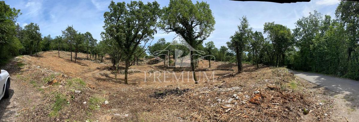 AMPIO TERRENO CON BELLISSIMA VISTA, POSIZIONE TRANQUILLA, ZONA T-1