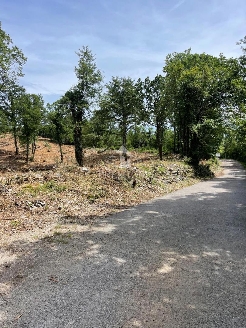 AMPIO TERRENO CON BELLISSIMA VISTA, POSIZIONE TRANQUILLA, ZONA T-1