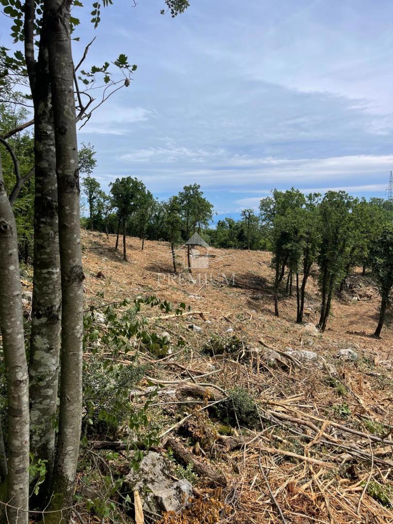 AMPIO TERRENO CON BELLISSIMA VISTA, POSIZIONE TRANQUILLA, ZONA T-1