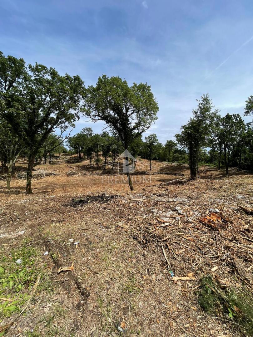 AMPIO TERRENO CON BELLISSIMA VISTA, POSIZIONE TRANQUILLA, ZONA T-1