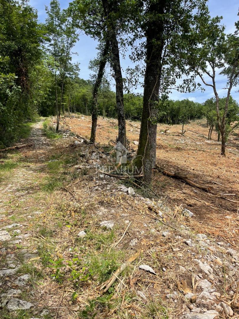 AMPIO TERRENO CON BELLISSIMA VISTA, POSIZIONE TRANQUILLA, ZONA T-1