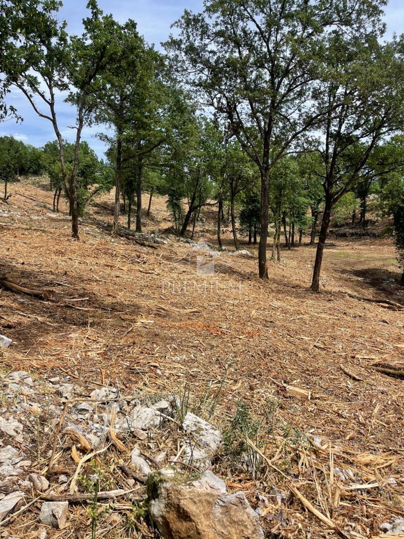 AMPIO TERRENO CON BELLISSIMA VISTA, POSIZIONE TRANQUILLA, ZONA T-1