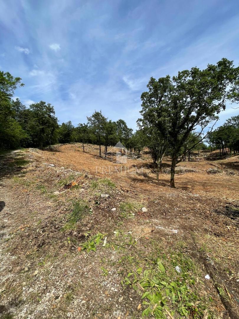 AMPIO TERRENO CON BELLISSIMA VISTA, POSIZIONE TRANQUILLA, ZONA T-1