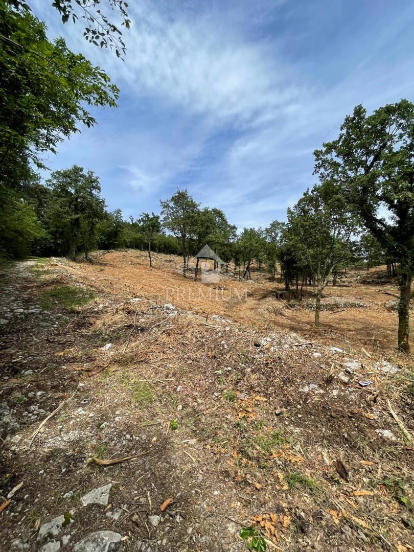 AMPIO TERRENO CON BELLISSIMA VISTA, POSIZIONE TRANQUILLA, ZONA T-1