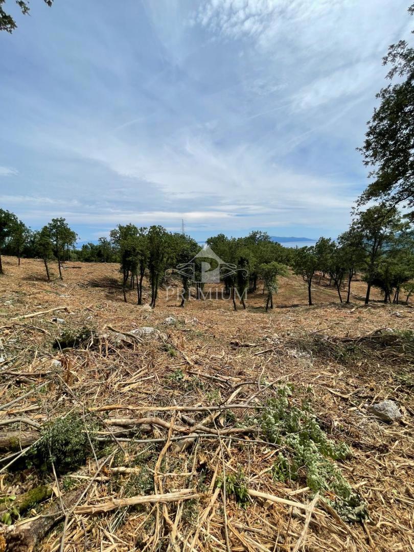 AMPIO TERRENO CON BELLISSIMA VISTA, POSIZIONE TRANQUILLA, ZONA T-1