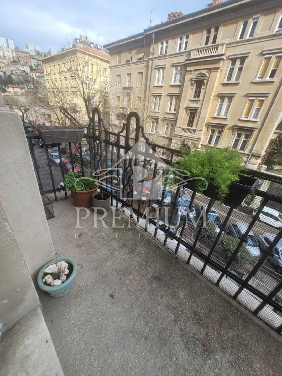 CONFORTEVOLE APPARTAMENTO DELICATO NEL CENTRO DI RIJEKA