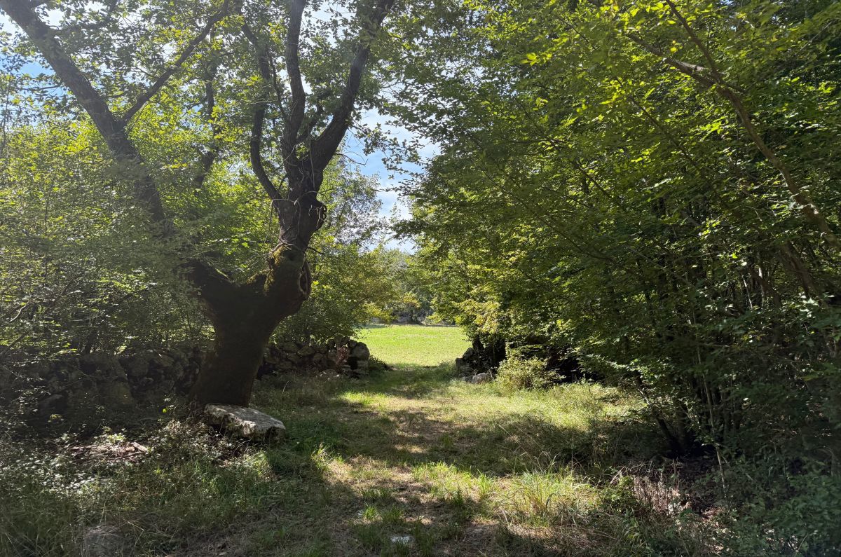 Terreno agrario, per la vendita, Malinska, Croazia, 9798 m2, 117.576,00 EUR