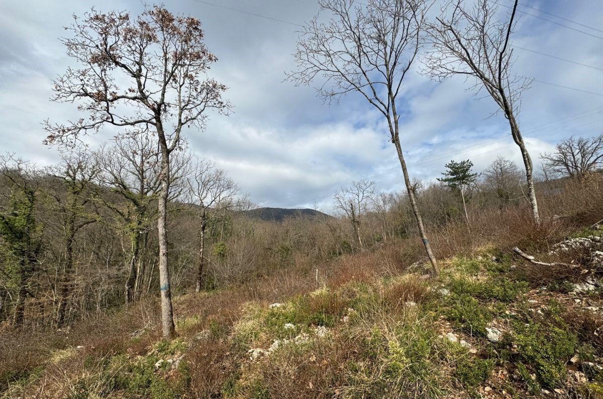 Terreno costruzione, per la vendita, Abazzia, Croazia, 1204 m2, 150.000,00 EUR