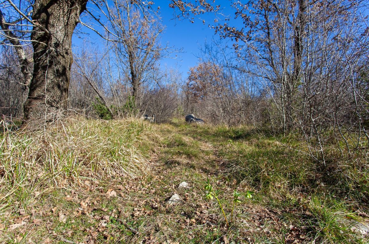 Terreno agrario, per la vendita, Città diKrk, Croazia, 46116 m2, 350.000,00 EUR