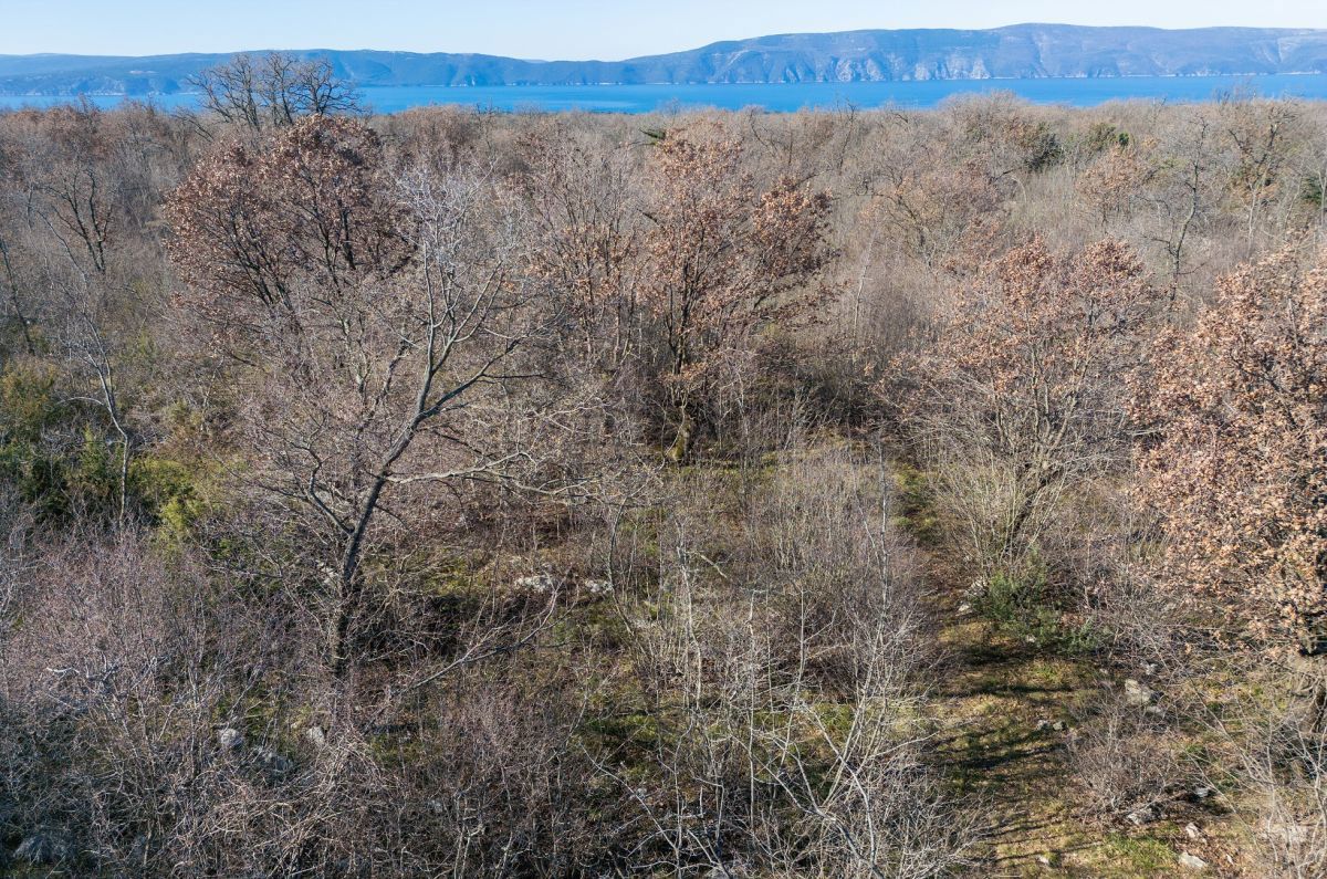 Terreno agrario, per la vendita, Città diKrk, Croazia, 46116 m2, 570.000,00 EUR