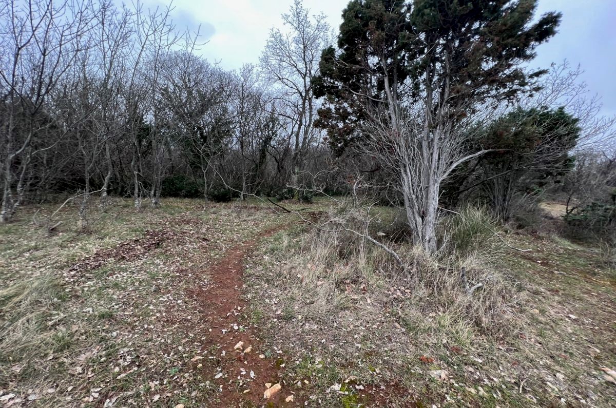 Terreno agrario, per la vendita, Città diKrk, Croazia, 11000 m2, 450.000,00 EUR