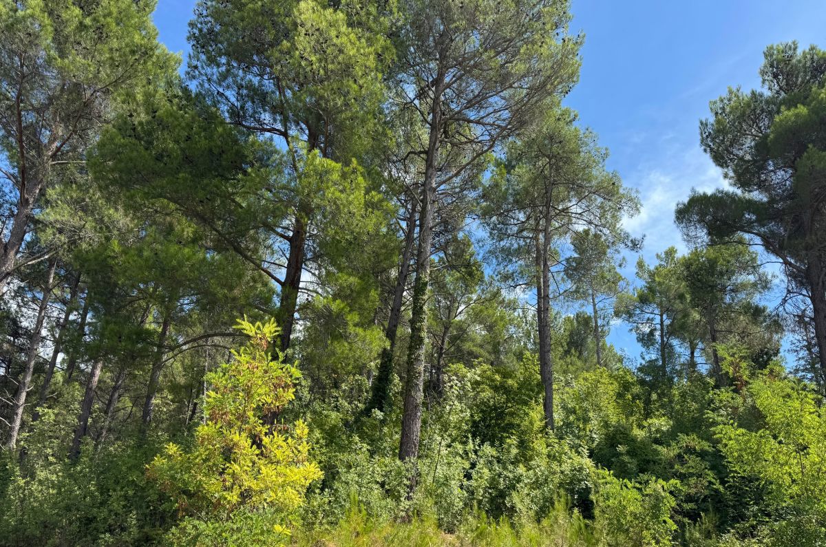 Appartamento, per la vendita, Uvala Soline, Croazia, 59 m2, 275.000,00 EUR