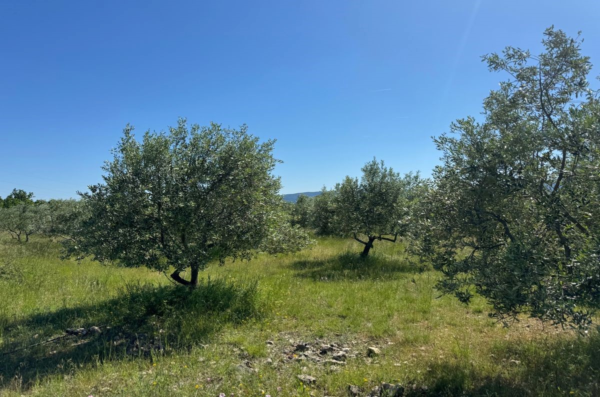 Terreno costruzione, per la vendita, Città diKrk, Croazia, 36000 m2, 1.700.000,00 EUR