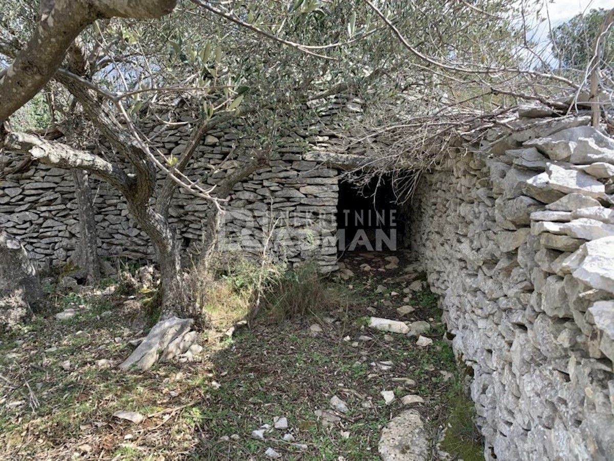   L'isola di Brač - un uliveto con vista sul mare Splitska, Supetar, 14347m2