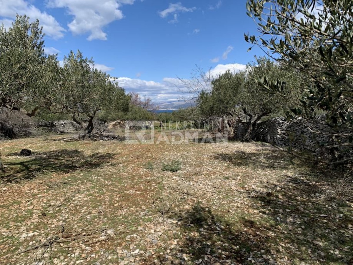   L'isola di Brač - un uliveto con vista sul mare Splitska, Supetar, 14347m2