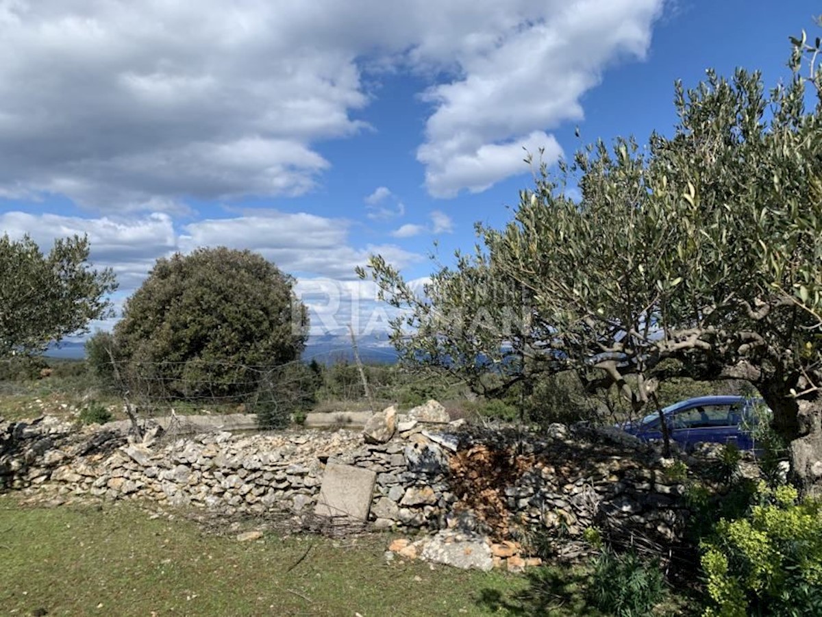   L'isola di Brač - un uliveto con vista sul mare Splitska, Supetar, 14347m2