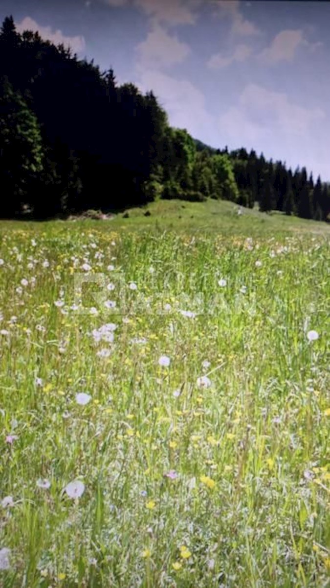 Terreno Stari Laz, Ravna Gora, 38.516m2