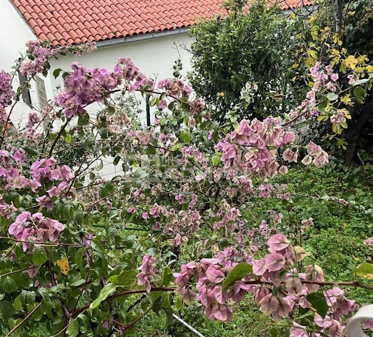  Čiovo, Trogir,  CASA INDIPENDENTE CON GIARDINO VICINO AL MARE  195m2