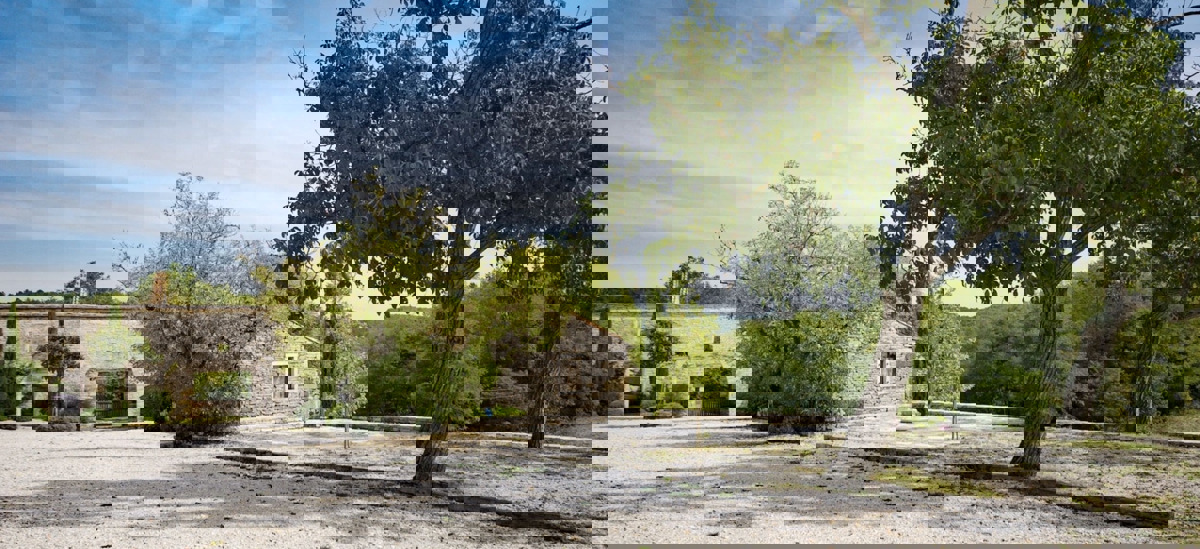 GROŽNJAN-TENUTA DI LUSSO IN VENDITA