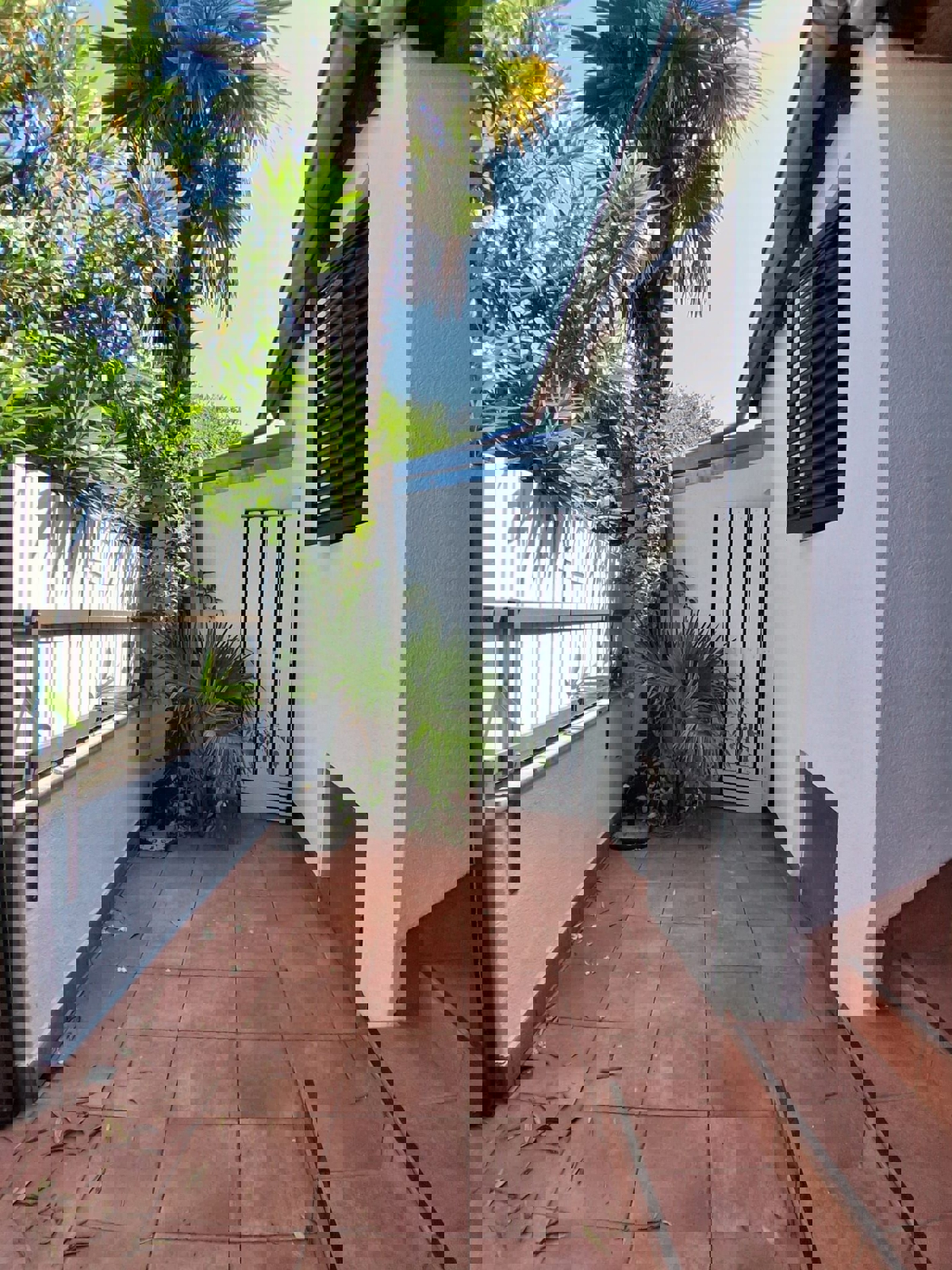  ČERVAR PORAT-CASA IN VENDITA  A 150 M DALLA SPIAGGIA