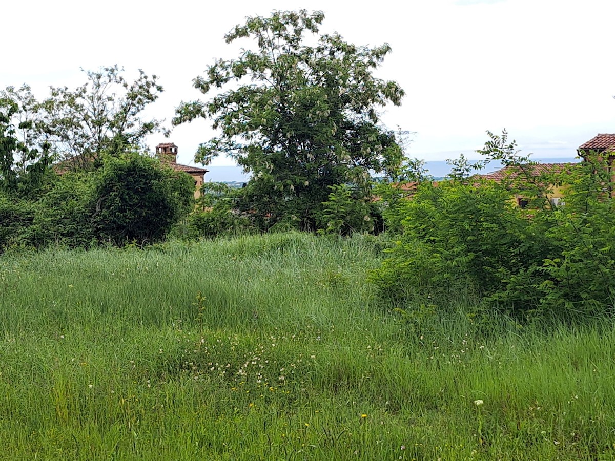 KAŠTELIR-TERRENO EDIFICABILE IN VENDITA