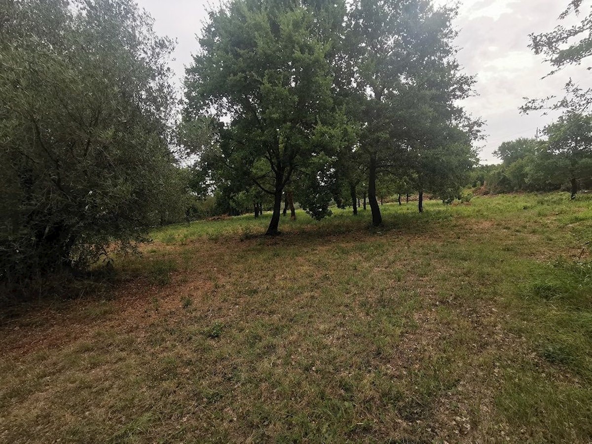 TAR - TERRENO IN VENDITA